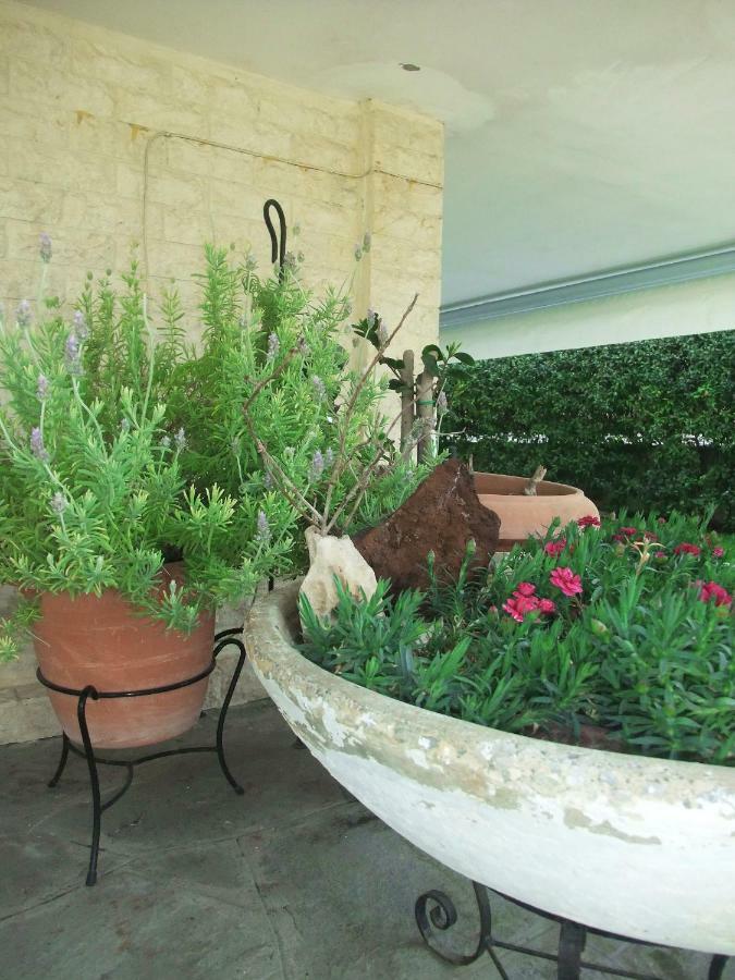 A Majestic Elegant House With A Garden Apartment Peraia  Exterior photo